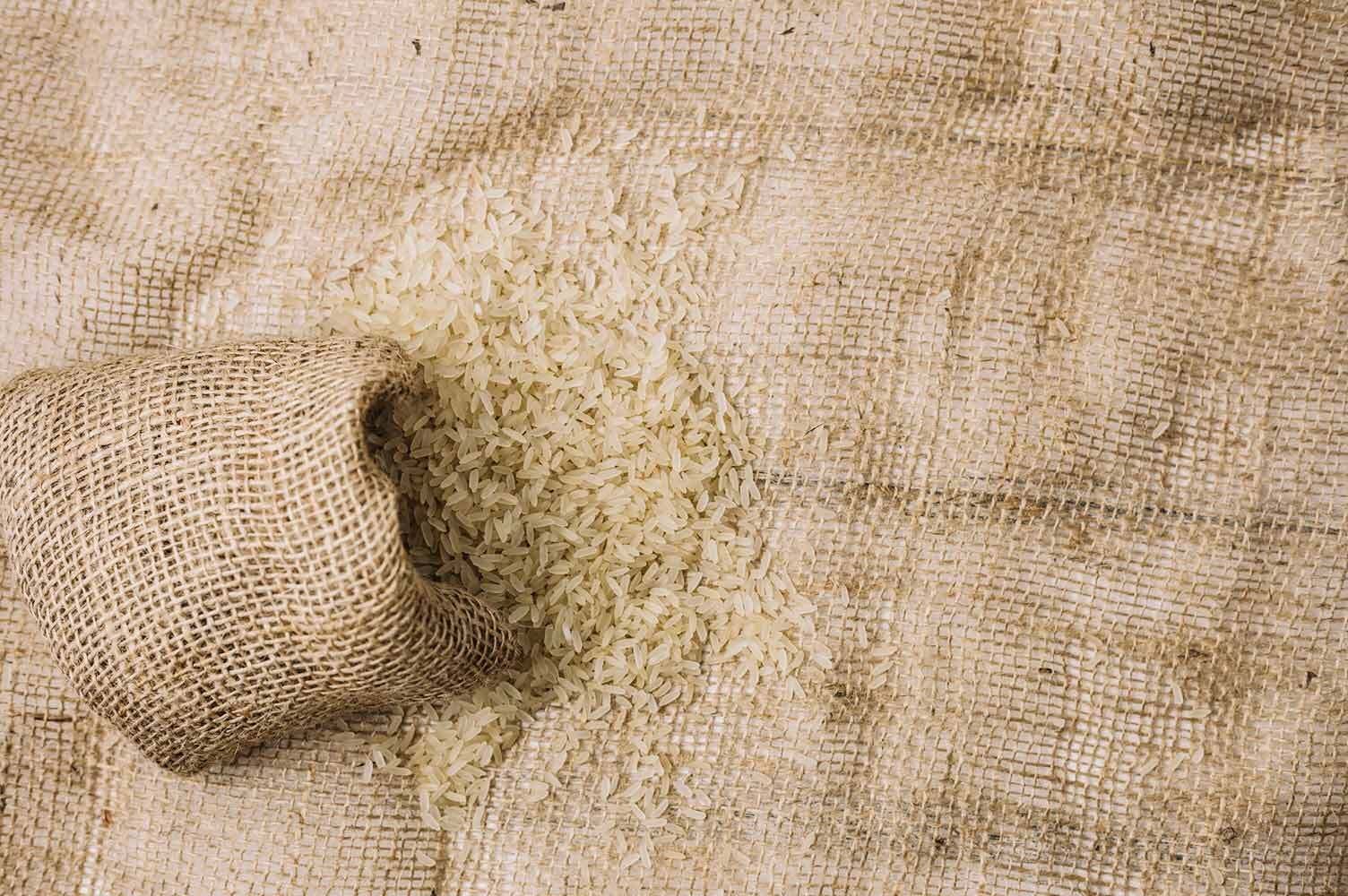 premium rice